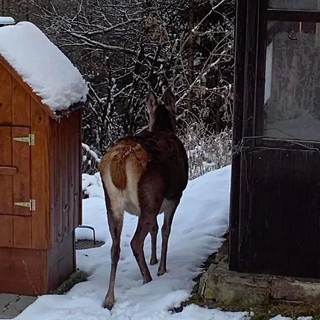 Mezna 85 Δωμάτια σε οικογενειακή κατοικία *