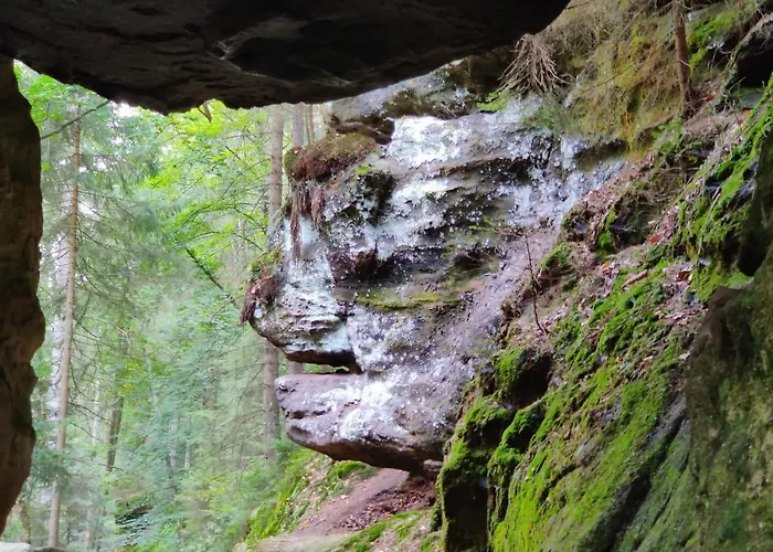 Mezna 85 民宿 赫任斯科